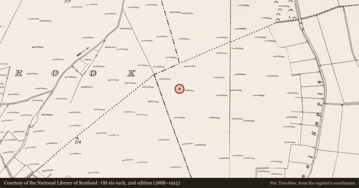 Ordnance Survey six-inch map, 2nd edition (1888–1915) covering the location of Structure - peatland, Toberdaly, County Offaly, with a pin at the register's coordinates