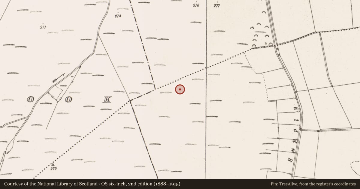 Ordnance Survey six-inch map, 2nd edition (1888–1915) covering the location of Road - class 3 togher, Toberdaly, County Offaly, with a pin at the register's coordinates