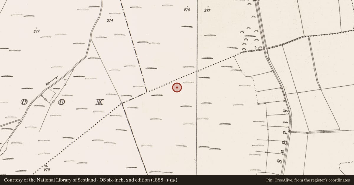Ordnance Survey six-inch map, 2nd edition (1888–1915) covering the location of Structure - peatland, Toberdaly, County Offaly, with a pin at the register's coordinates