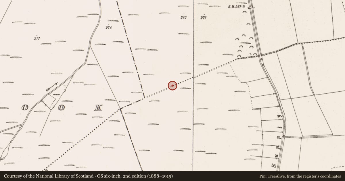 Ordnance Survey six-inch map, 2nd edition (1888–1915) covering the location of Structure - peatland, Clonin, Toberdaly, County Offaly, with a pin at the register's coordinates
