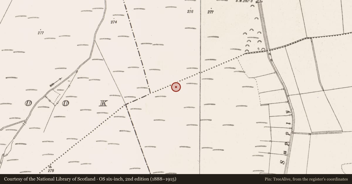Ordnance Survey six-inch map, 2nd edition (1888–1915) covering the location of Structure - peatland, Toberdaly, County Offaly, with a pin at the register's coordinates