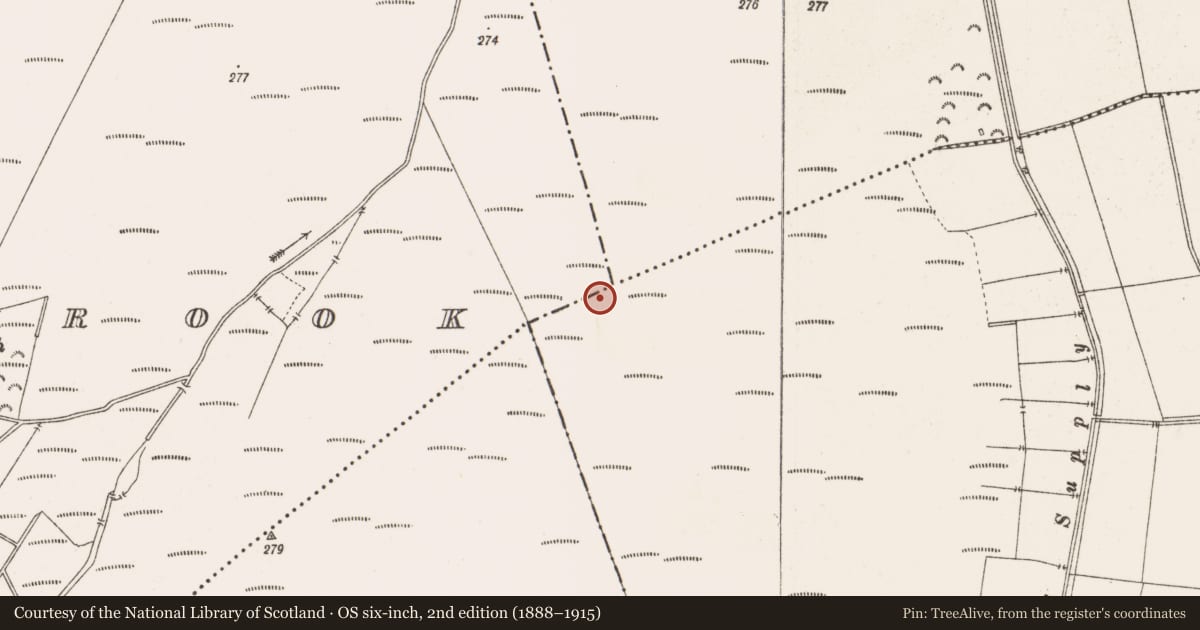 Ordnance Survey six-inch map, 2nd edition (1888–1915) covering the location of Structure - peatland, Toberdaly, County Offaly, with a pin at the register's coordinates