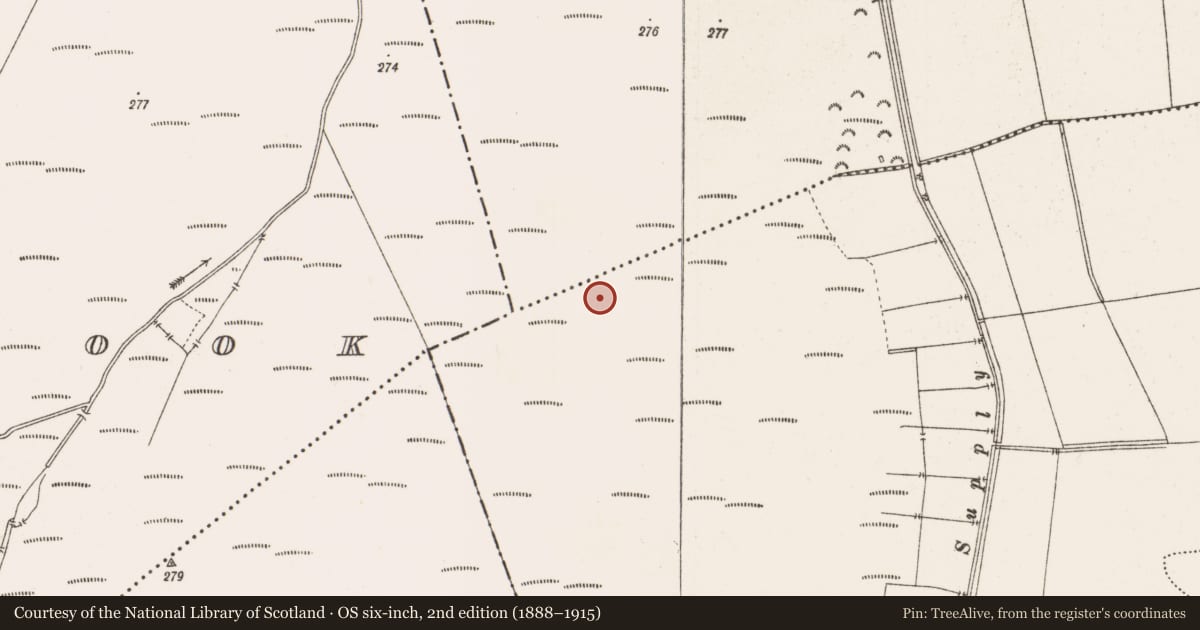 Ordnance Survey six-inch map, 2nd edition (1888–1915) covering the location of Road - class 3 togher, Toberdaly, County Offaly, with a pin at the register's coordinates