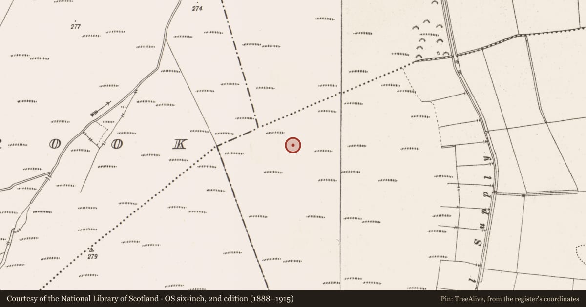 Ordnance Survey six-inch map, 2nd edition (1888–1915) covering the location of Structure - peatland, Toberdaly, County Offaly, with a pin at the register's coordinates