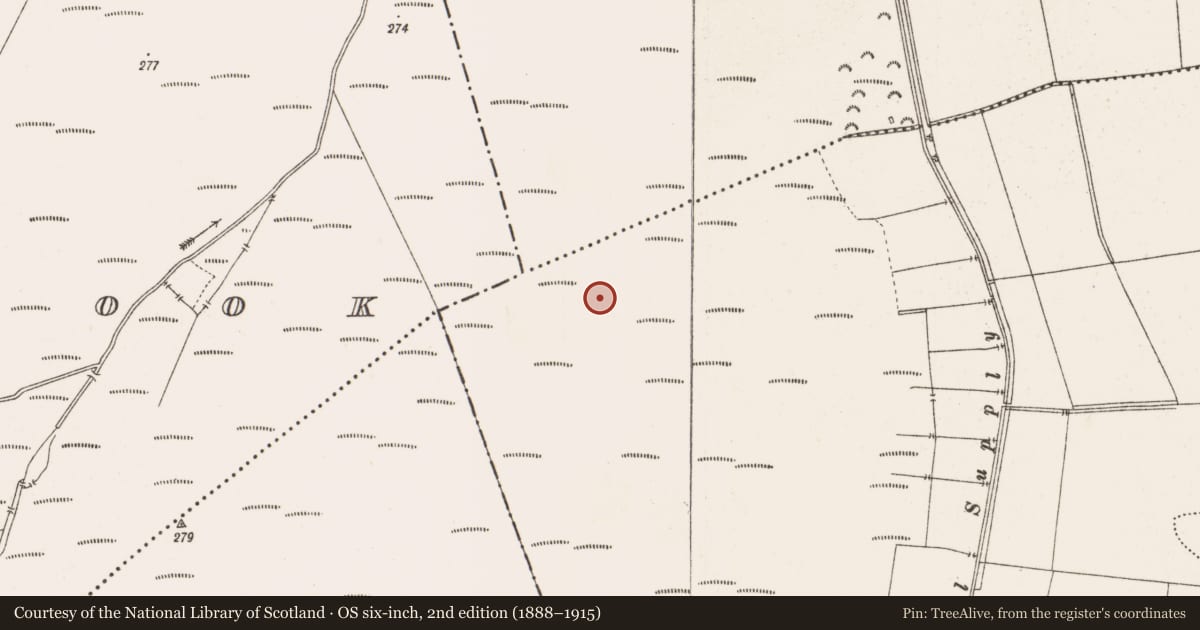 Ordnance Survey six-inch map, 2nd edition (1888–1915) covering the location of Structure - peatland, Toberdaly, County Offaly, with a pin at the register's coordinates