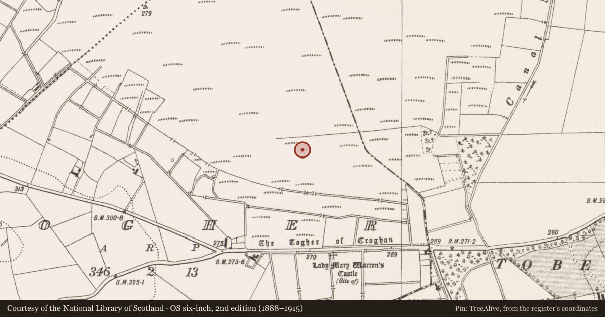 Ordnance Survey six-inch map, 2nd edition (1888–1915) covering the location of Structure - peatland, Togher, County Offaly, with a pin at the register's coordinates