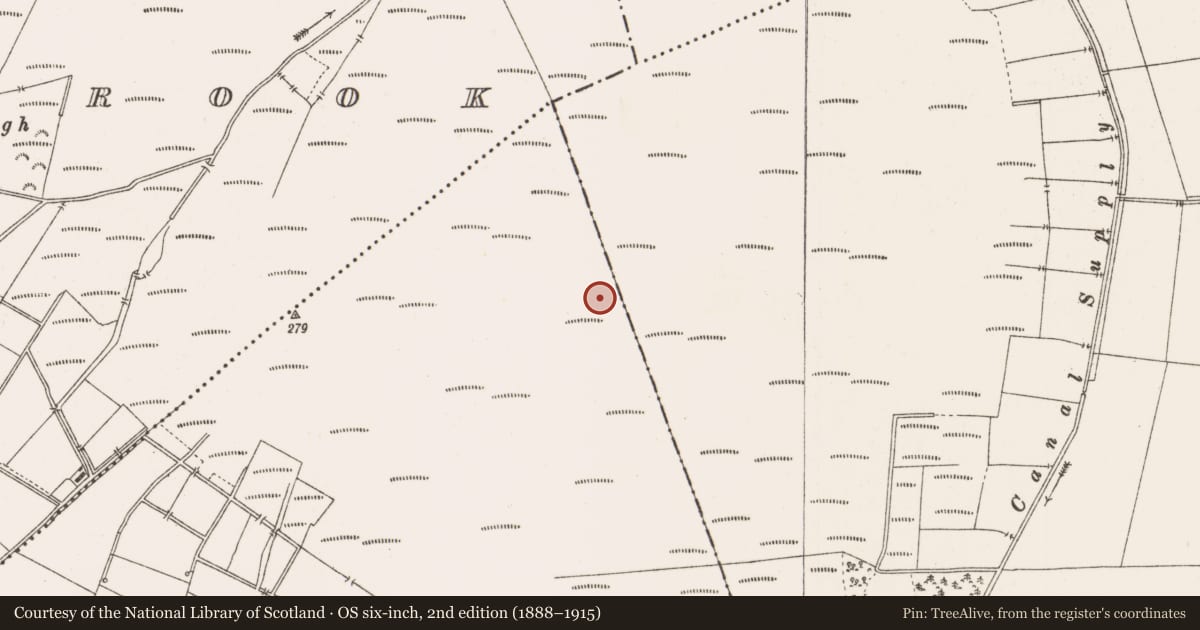 Ordnance Survey six-inch map, 2nd edition (1888–1915) covering the location of Structure - peatland, Togher, County Offaly, with a pin at the register's coordinates