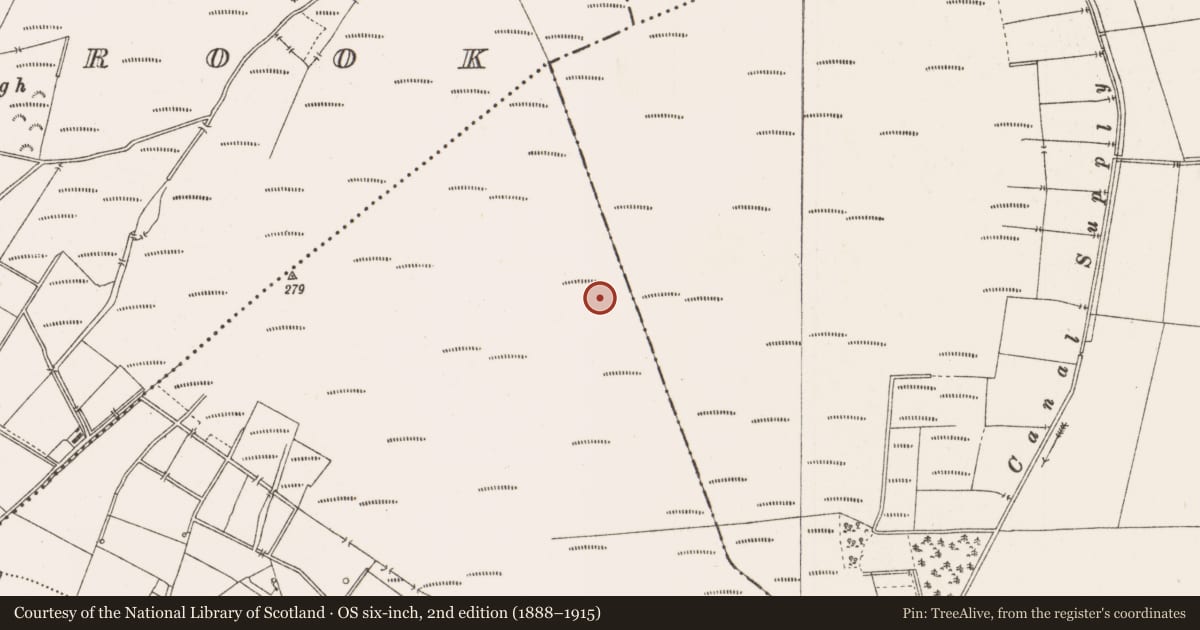 Ordnance Survey six-inch map, 2nd edition (1888–1915) covering the location of Road - class 3 togher, County Offaly, with a pin at the register's coordinates