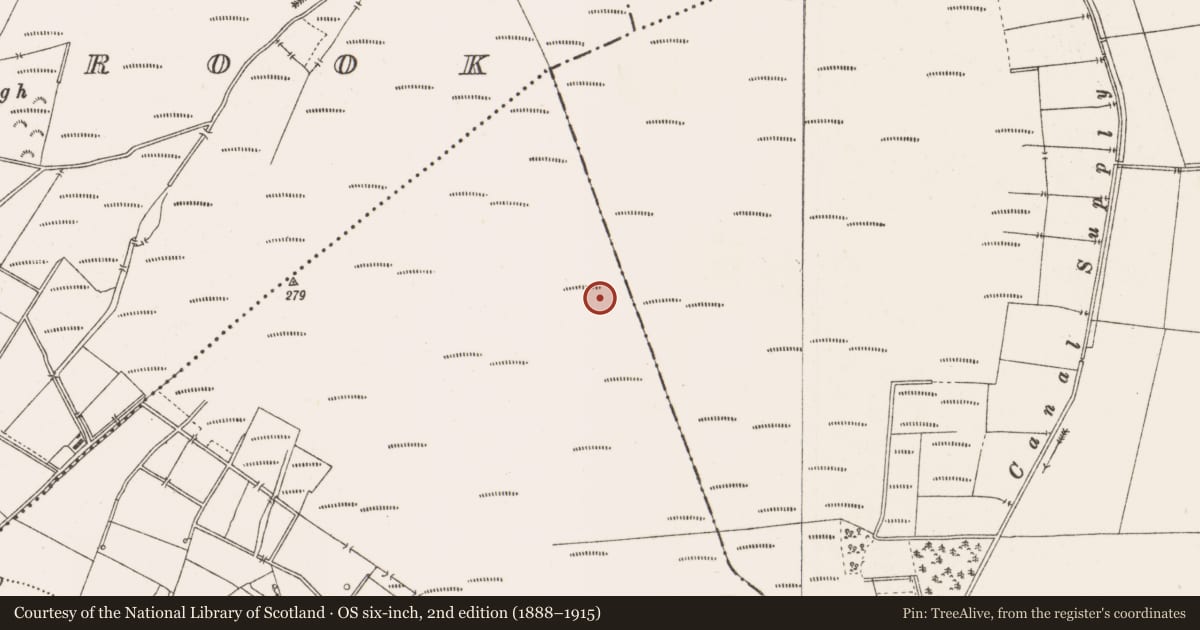 Ordnance Survey six-inch map, 2nd edition (1888–1915) covering the location of Structure - peatland, Togher, County Offaly, with a pin at the register's coordinates