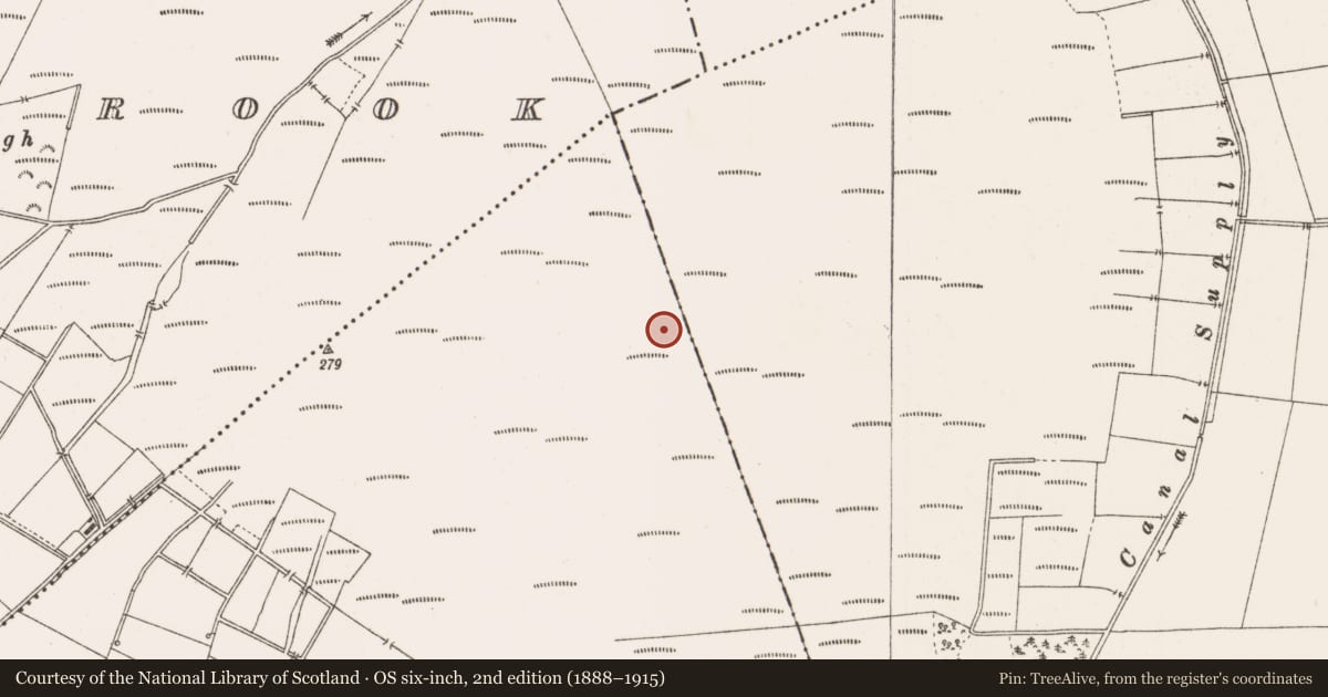 Ordnance Survey six-inch map, 2nd edition (1888–1915) covering the location of Structure - peatland, Togher, County Offaly, with a pin at the register's coordinates