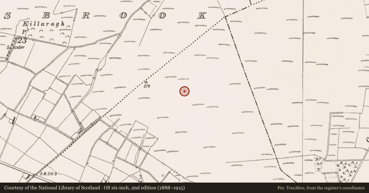 Ordnance Survey six-inch map, 2nd edition (1888–1915) covering the location of Road - class 3 togher, County Offaly, with a pin at the register's coordinates