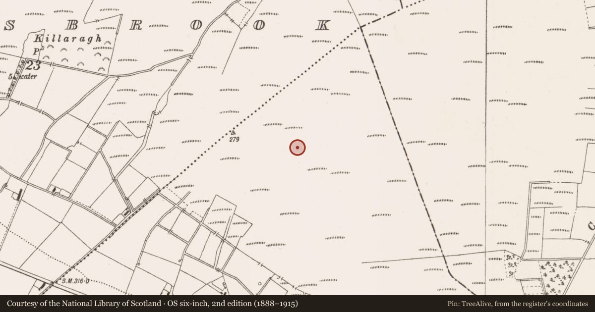 Ordnance Survey six-inch map, 2nd edition (1888–1915) covering the location of Road - class 3 togher, County Offaly, with a pin at the register's coordinates