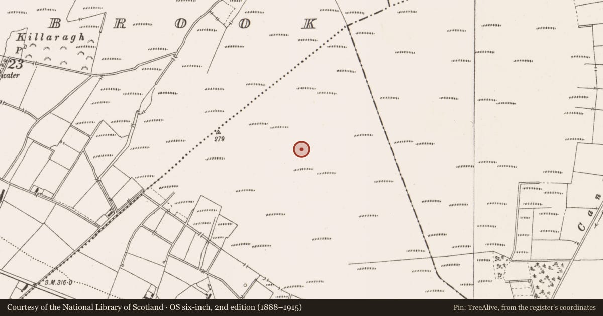 Ordnance Survey six-inch map, 2nd edition (1888–1915) covering the location of Road - class 2 togher, County Offaly, with a pin at the register's coordinates
