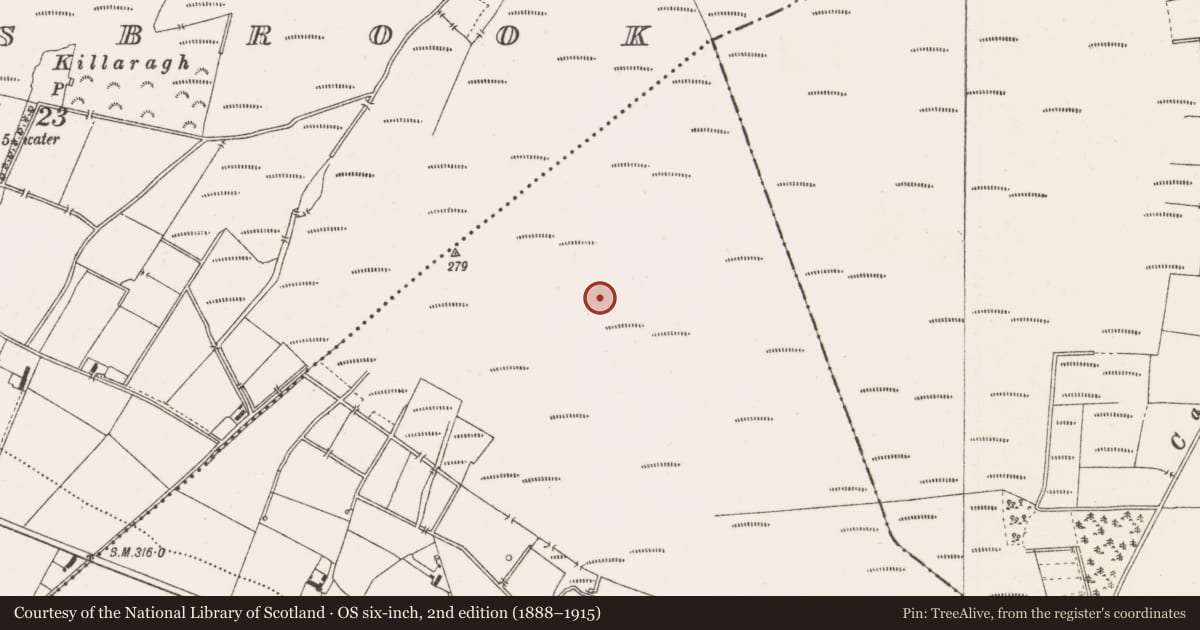 Ordnance Survey six-inch map, 2nd edition (1888–1915) covering the location of Structure - peatland, Togher, County Offaly, with a pin at the register's coordinates