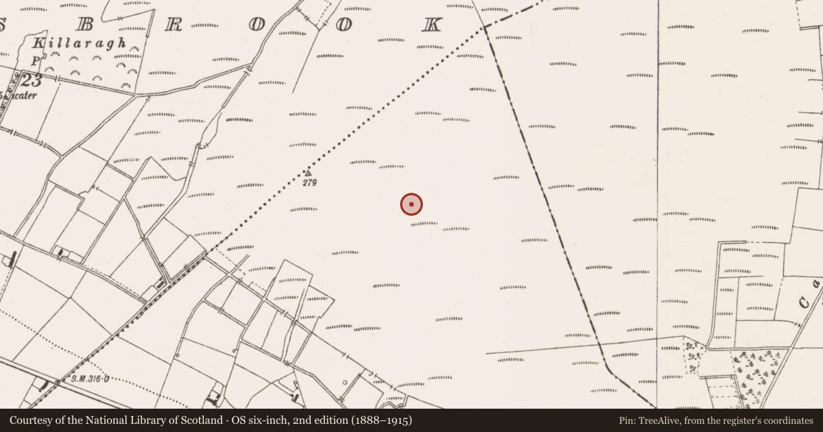 Ordnance Survey six-inch map, 2nd edition (1888–1915) covering the location of Road - class 3 togher, County Offaly, with a pin at the register's coordinates