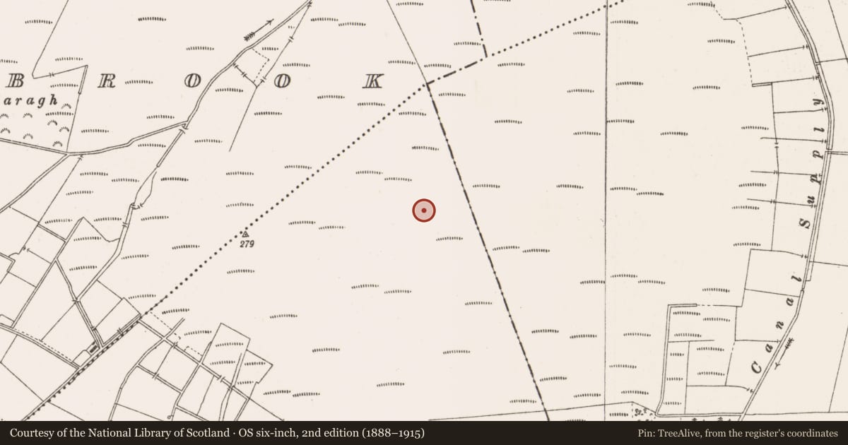 Ordnance Survey six-inch map, 2nd edition (1888–1915) covering the location of Structure - peatland, Togher, County Offaly, with a pin at the register's coordinates