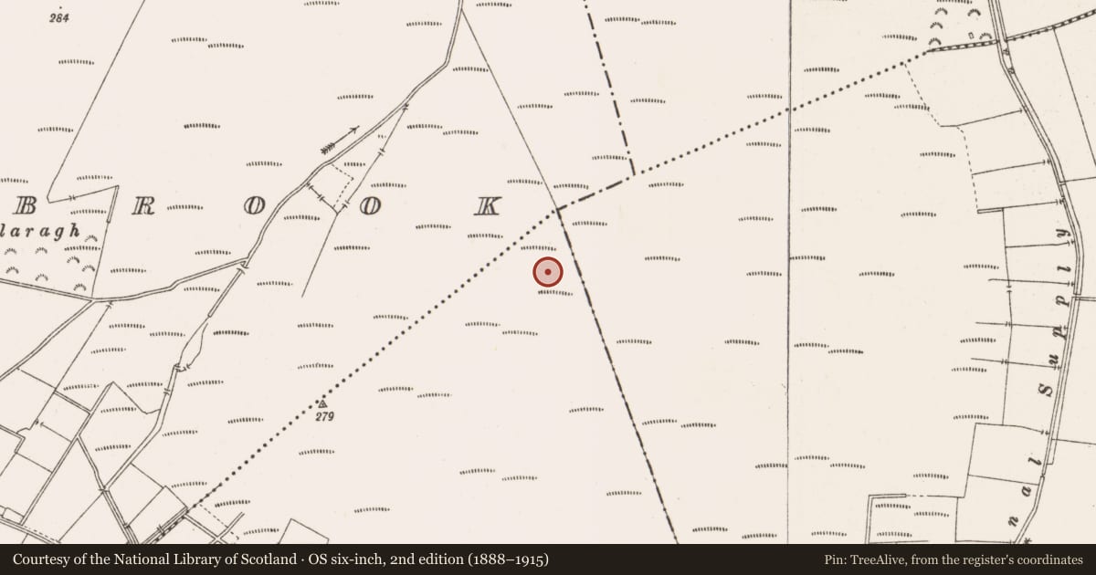 Ordnance Survey six-inch map, 2nd edition (1888–1915) covering the location of Structure - peatland, Togher, County Offaly, with a pin at the register's coordinates