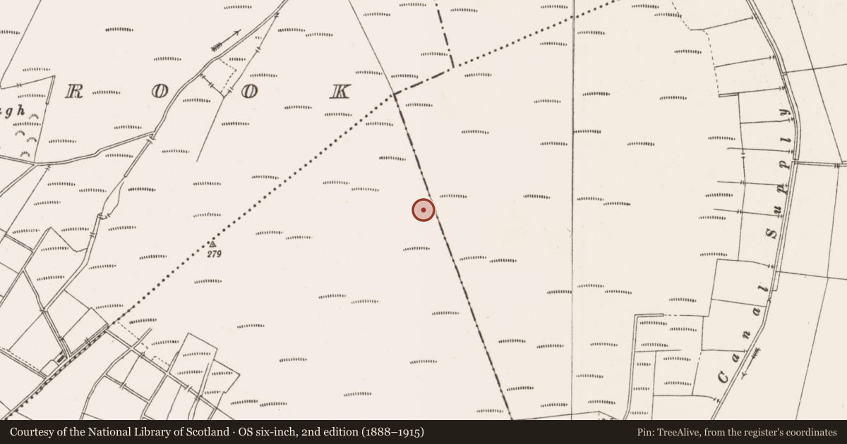 Ordnance Survey six-inch map, 2nd edition (1888–1915) covering the location of Structure - peatland, Togher, County Offaly, with a pin at the register's coordinates