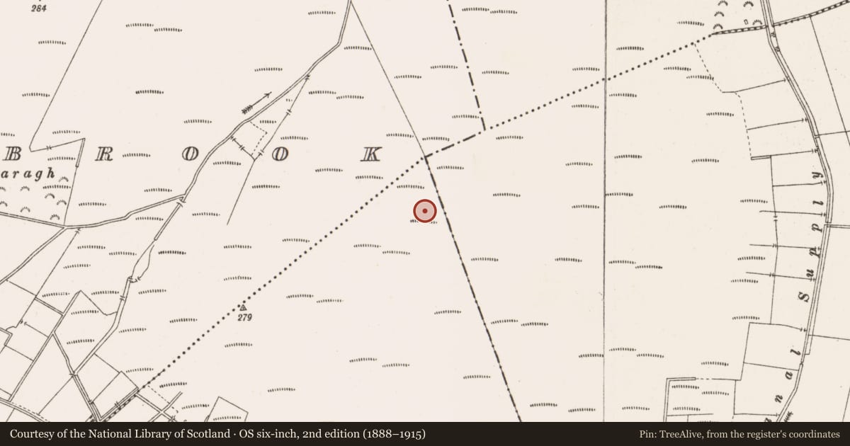 Ordnance Survey six-inch map, 2nd edition (1888–1915) covering the location of Structure - peatland, Togher, County Offaly, with a pin at the register's coordinates