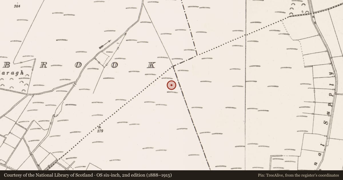 Ordnance Survey six-inch map, 2nd edition (1888–1915) covering the location of Road - class 3 togher, County Offaly, with a pin at the register's coordinates
