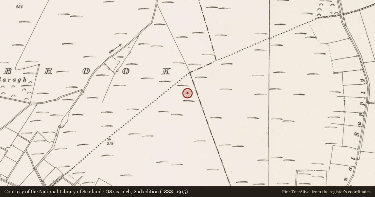 Ordnance Survey six-inch map, 2nd edition (1888–1915) covering the location of Structure - peatland, Togher, County Offaly, with a pin at the register's coordinates