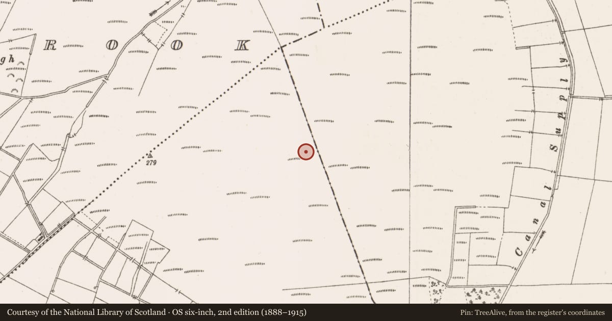 Ordnance Survey six-inch map, 2nd edition (1888–1915) covering the location of Structure - peatland, Togher, County Offaly, with a pin at the register's coordinates