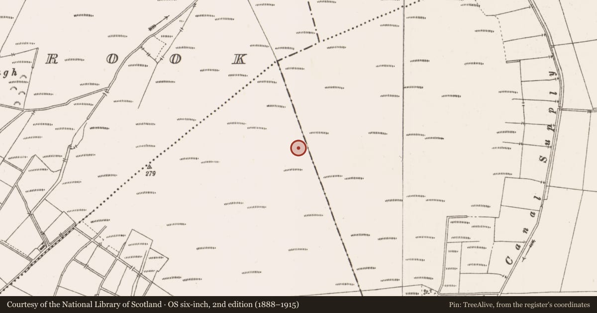 Ordnance Survey six-inch map, 2nd edition (1888–1915) covering the location of Structure - peatland, Togher, County Offaly, with a pin at the register's coordinates