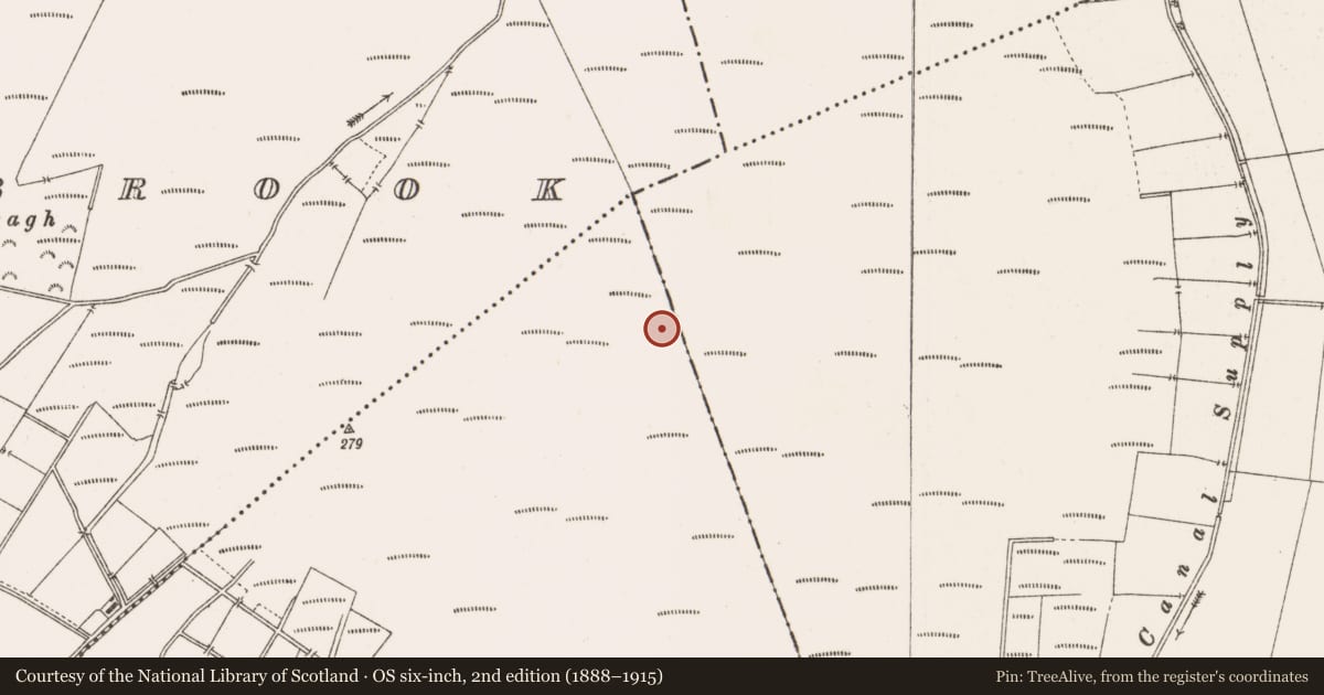 Ordnance Survey six-inch map, 2nd edition (1888–1915) covering the location of Structure - peatland, Togher, County Offaly, with a pin at the register's coordinates