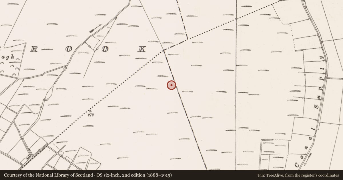 Ordnance Survey six-inch map, 2nd edition (1888–1915) covering the location of Road - class 3 togher, County Offaly, with a pin at the register's coordinates