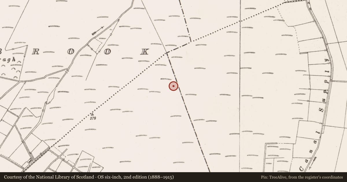 Ordnance Survey six-inch map, 2nd edition (1888–1915) covering the location of Road - class 3 togher, County Offaly, with a pin at the register's coordinates