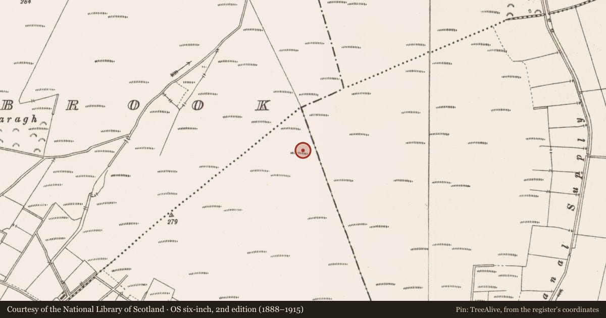 Ordnance Survey six-inch map, 2nd edition (1888–1915) covering the location of Structure - peatland, Togher, County Offaly, with a pin at the register's coordinates