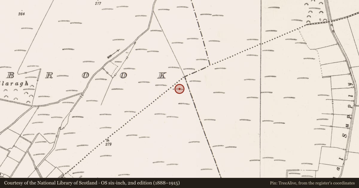 Ordnance Survey six-inch map, 2nd edition (1888–1915) covering the location of Road - class 2 togher, County Offaly, with a pin at the register's coordinates