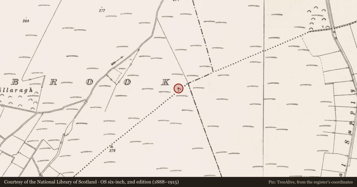 Ordnance Survey six-inch map, 2nd edition (1888–1915) covering the location of Road - class 3 togher, Barrysbrook, Togher, County Offaly, with a pin at the register's coordinates