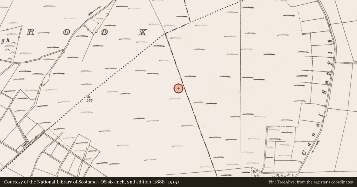Ordnance Survey six-inch map, 2nd edition (1888–1915) covering the location of Structure - peatland, Togher, County Offaly, with a pin at the register's coordinates