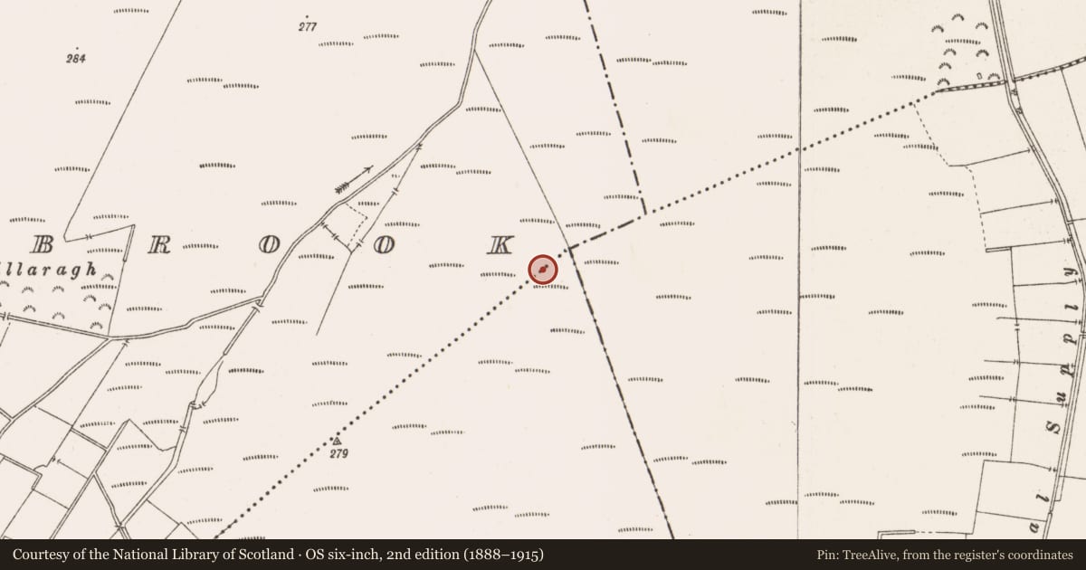 Ordnance Survey six-inch map, 2nd edition (1888–1915) covering the location of Road - class 2 togher, Barrysbrook, Togher, County Offaly, with a pin at the register's coordinates