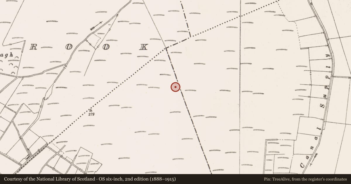 Ordnance Survey six-inch map, 2nd edition (1888–1915) covering the location of Structure - peatland, Togher, County Offaly, with a pin at the register's coordinates