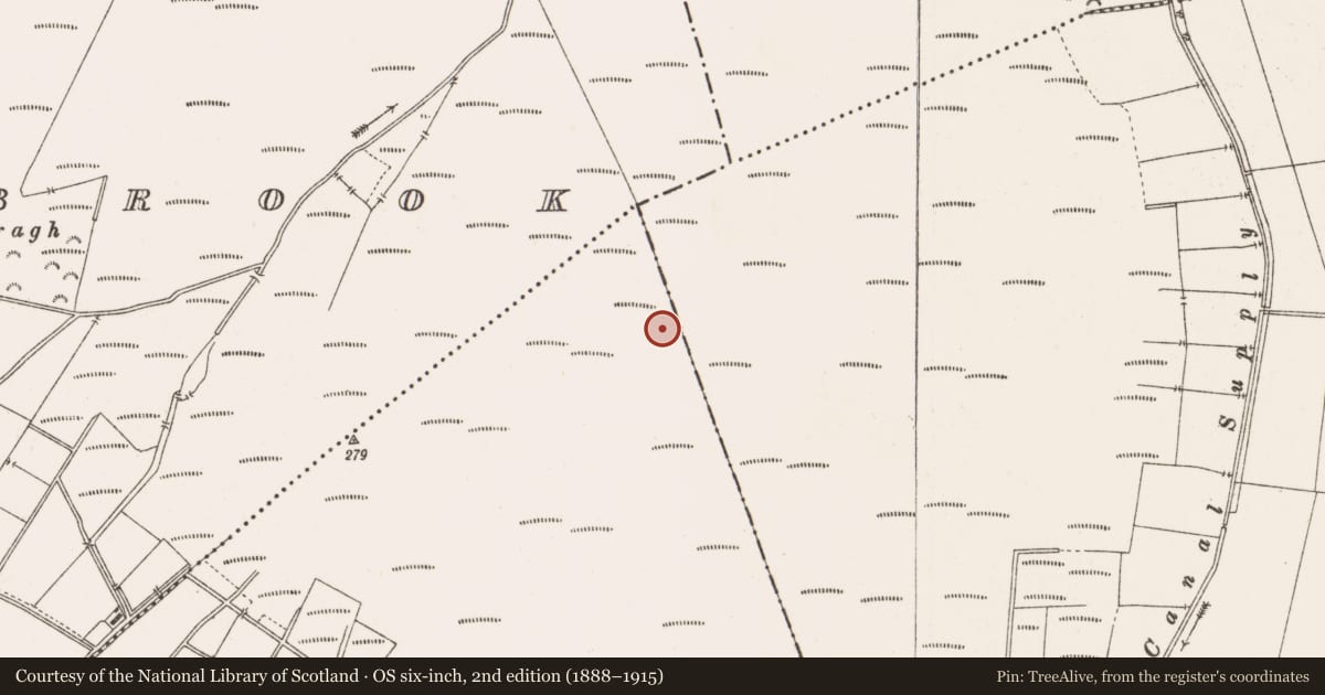 Ordnance Survey six-inch map, 2nd edition (1888–1915) covering the location of Structure - peatland, Togher, County Offaly, with a pin at the register's coordinates