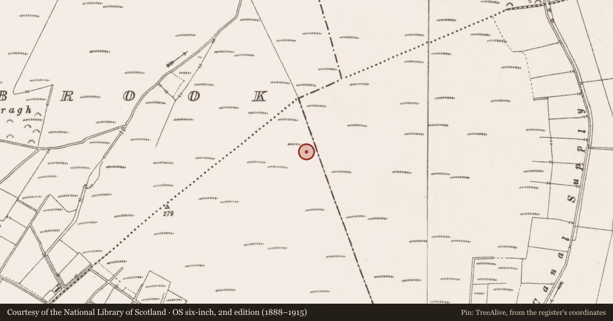 Ordnance Survey six-inch map, 2nd edition (1888–1915) covering the location of Structure - peatland, Togher, County Offaly, with a pin at the register's coordinates