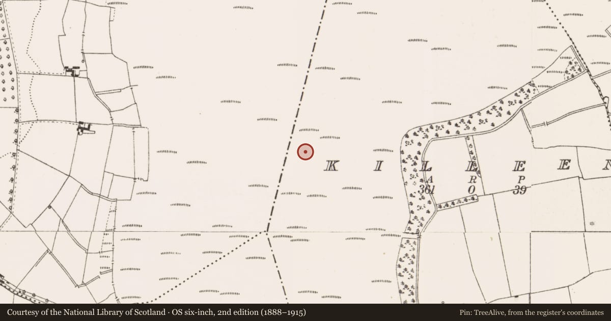 Ordnance Survey six-inch map, 2nd edition (1888–1915) covering the location of Structure - peatland, Killeen, County Offaly, with a pin at the register's coordinates
