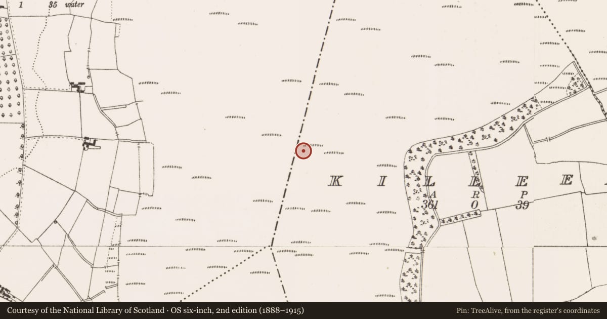 Ordnance Survey six-inch map, 2nd edition (1888–1915) covering the location of Structure - peatland, Killeen, County Offaly, with a pin at the register's coordinates