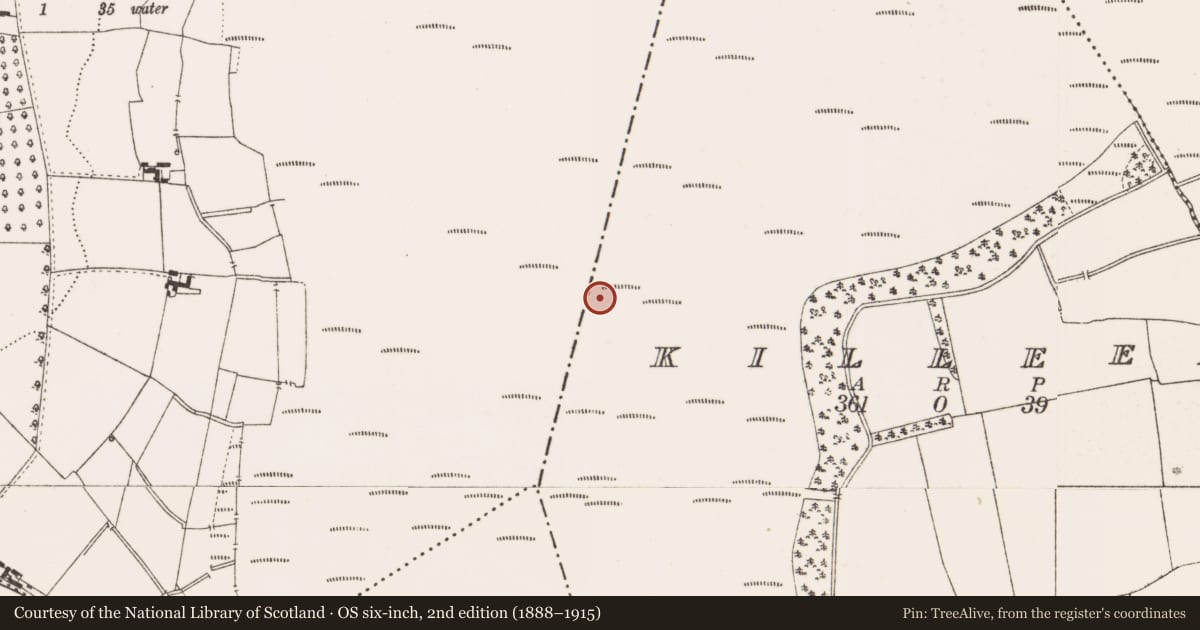 Ordnance Survey six-inch map, 2nd edition (1888–1915) covering the location of Structure - peatland, Killeen, County Offaly, with a pin at the register's coordinates