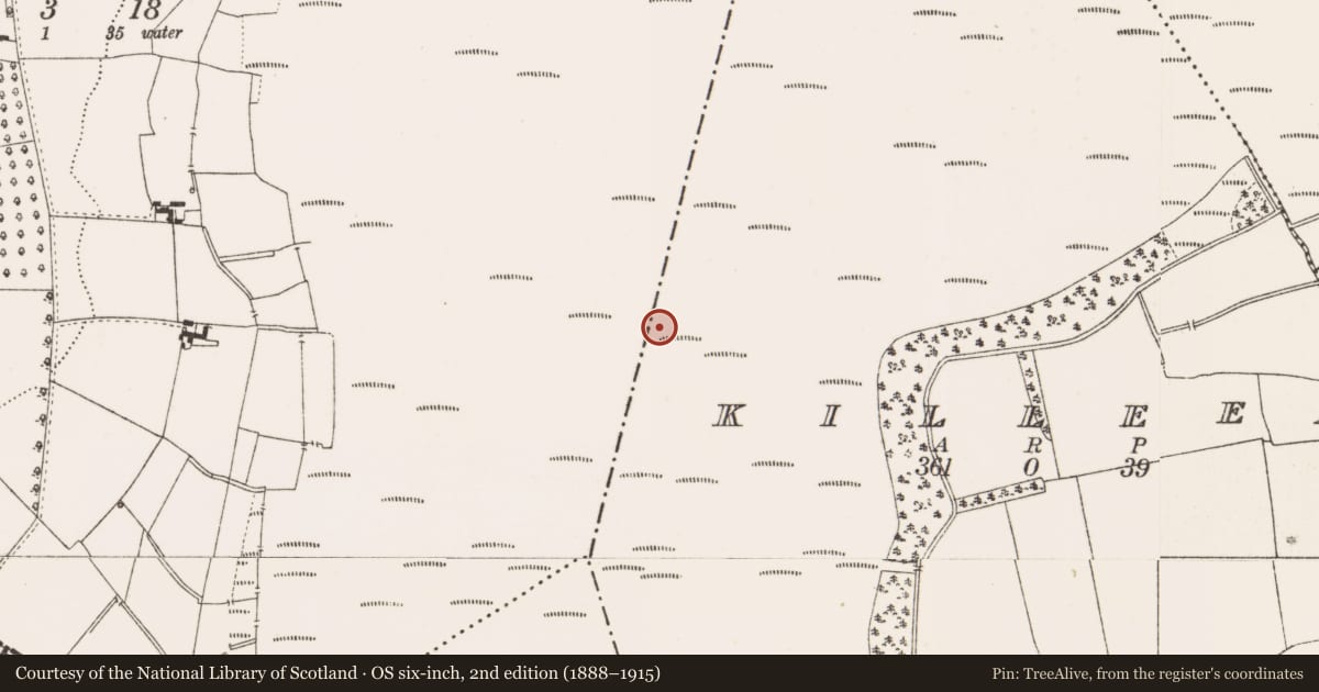 Ordnance Survey six-inch map, 2nd edition (1888–1915) covering the location of Road - class 3 togher, Killeen, County Offaly, with a pin at the register's coordinates
