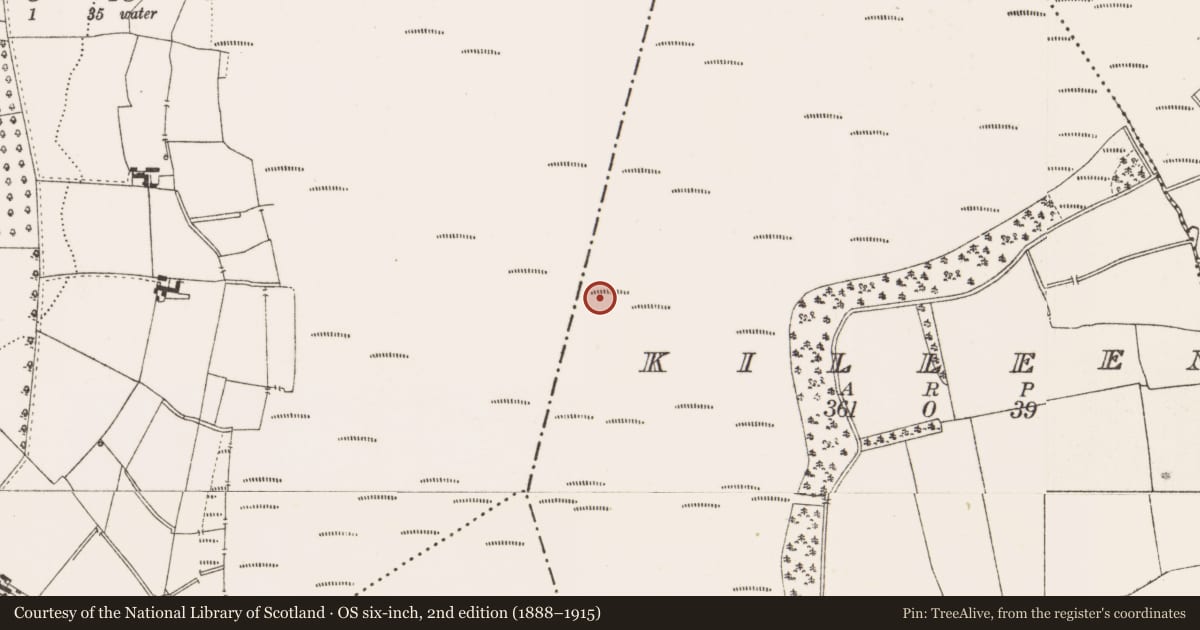 Ordnance Survey six-inch map, 2nd edition (1888–1915) covering the location of Structure - peatland, Killeen, County Offaly, with a pin at the register's coordinates
