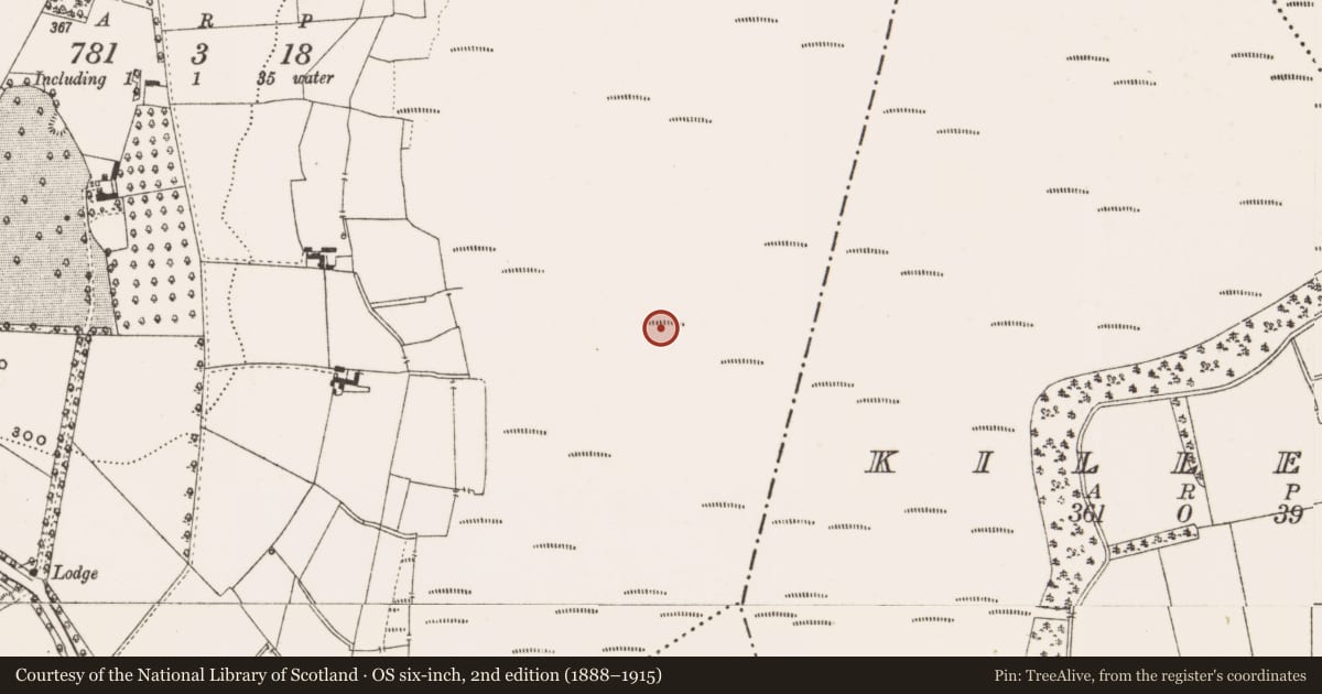 Ordnance Survey six-inch map, 2nd edition (1888–1915) covering the location of Structure - peatland, Mullalough Or Cavemount, County Offaly, with a pin at the register's coordinates