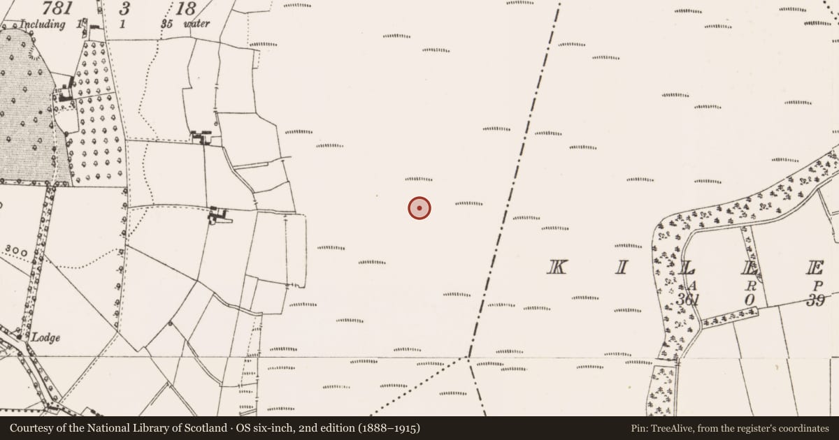 Ordnance Survey six-inch map, 2nd edition (1888–1915) covering the location of Structure - peatland, Mullalough Or Cavemount, County Offaly, with a pin at the register's coordinates