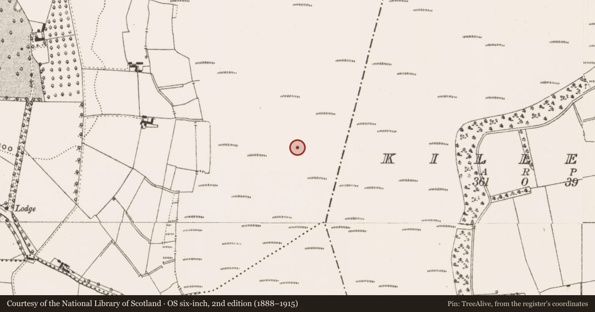 Ordnance Survey six-inch map, 2nd edition (1888–1915) covering the location of Road - class 3 togher, Mullalough Or Cavemount, County Offaly, with a pin at the register's coordinates