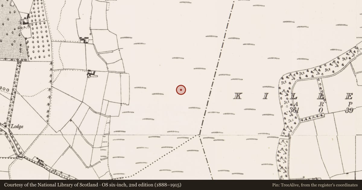 Ordnance Survey six-inch map, 2nd edition (1888–1915) covering the location of Road - class 3 togher, Mullalough Or Cavemount, County Offaly, with a pin at the register's coordinates