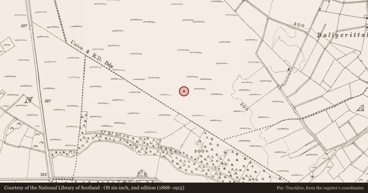 Ordnance Survey six-inch map, 2nd edition (1888–1915) covering the location of Structure - peatland, Oldcroghan, County Offaly, with a pin at the register's coordinates