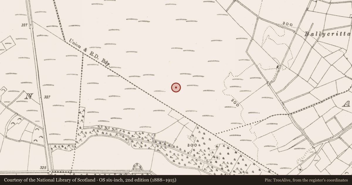 Ordnance Survey six-inch map, 2nd edition (1888–1915) covering the location of Structure - peatland, Oldcroghan, County Offaly, with a pin at the register's coordinates