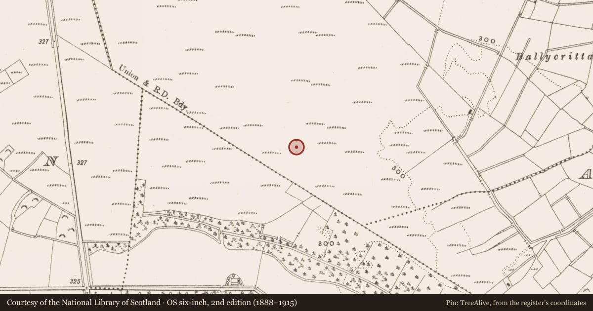 Ordnance Survey six-inch map, 2nd edition (1888–1915) covering the location of Structure - peatland, Oldcroghan, County Offaly, with a pin at the register's coordinates